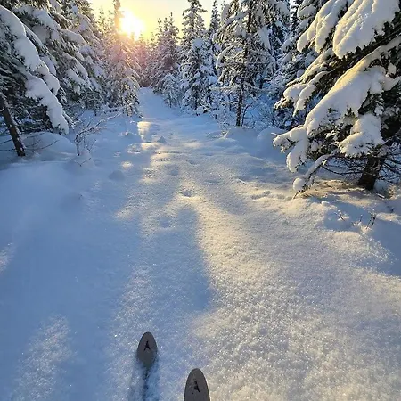 Holiday home Forest With Sauna And Views Near Hurdal Brattlia